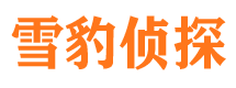 平房市侦探公司